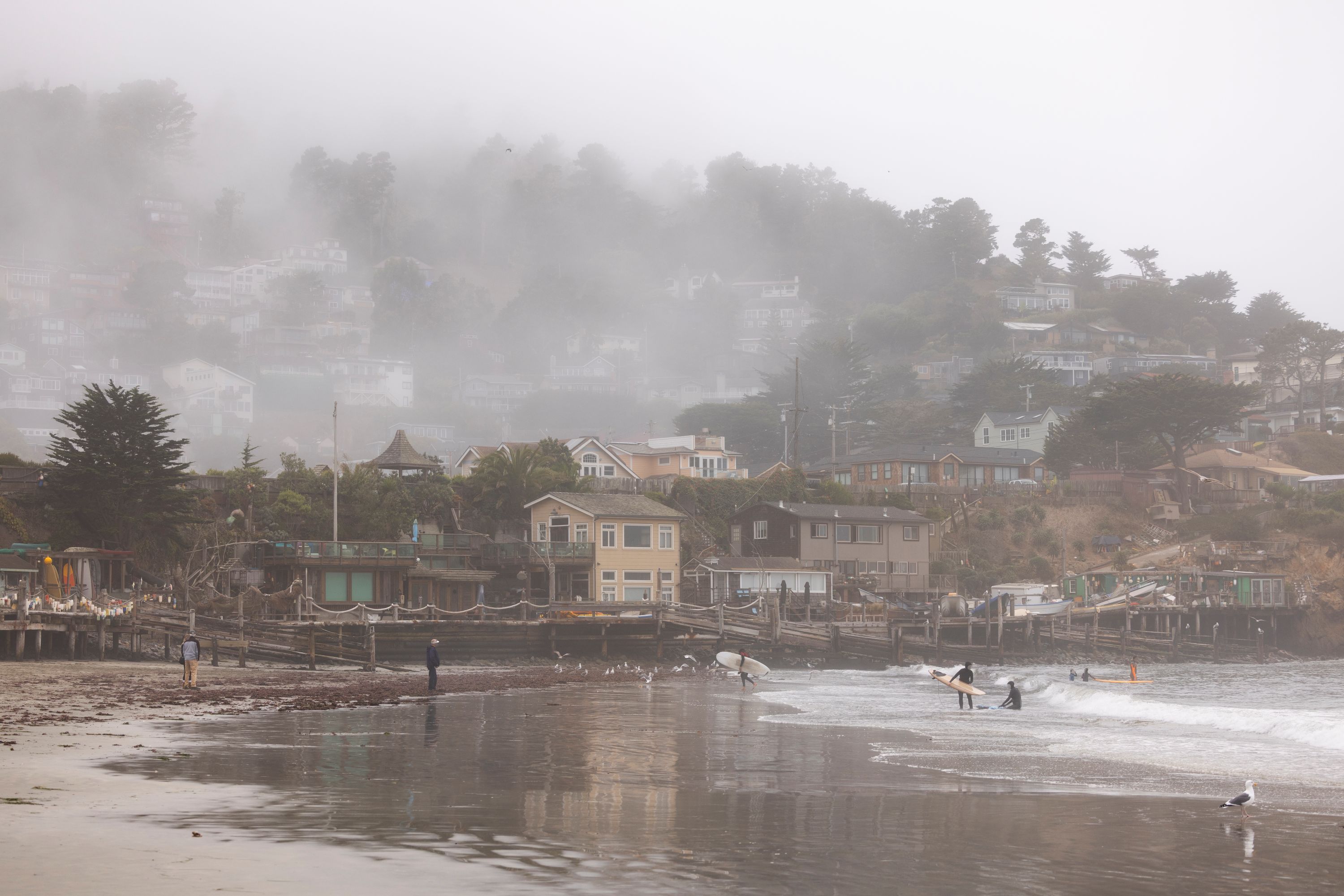 Pacifica Fog